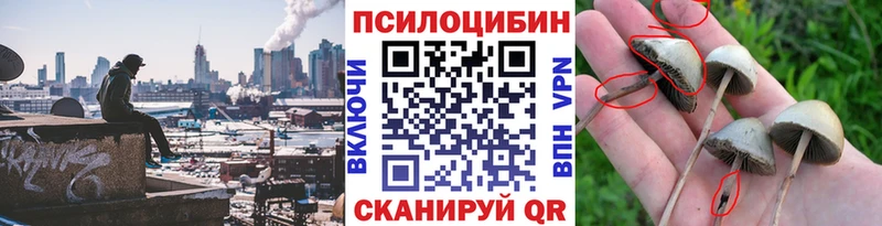 ОМГ ОМГ ONION  наркота  Пойковский  Галлюциногенные грибы GOLDEN TEACHER 